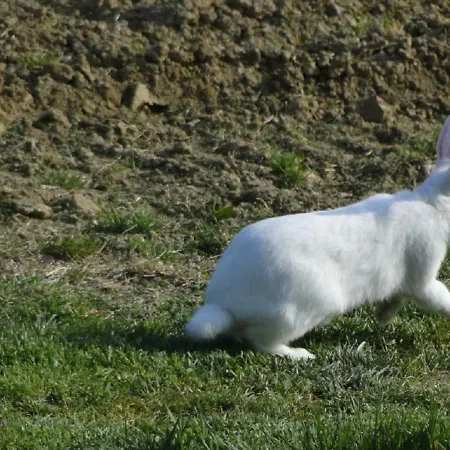 Appartement Tourist Farm Tonin *