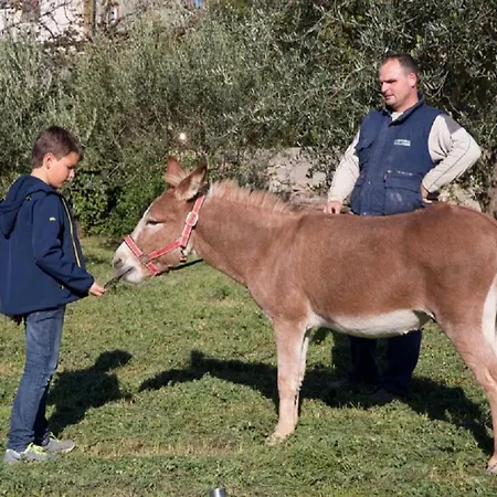 Tourist Farm Tonin
