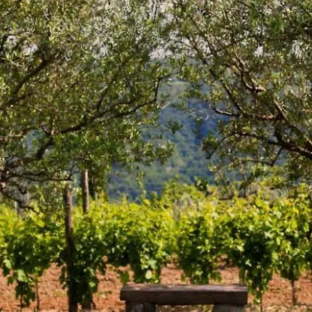 Tourist Farm Tonin Šmarje