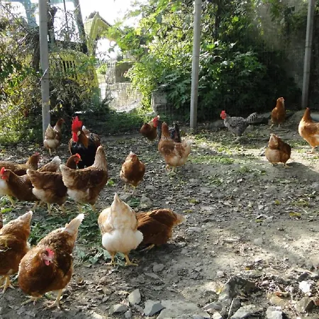 Apartment Tourist Farm Tonin