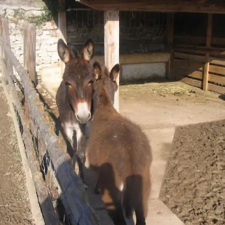 Tourist Farm Tonin Apartment