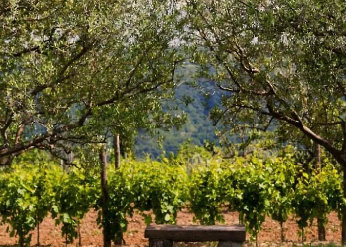 Tourist Farm Tonin Šmarje