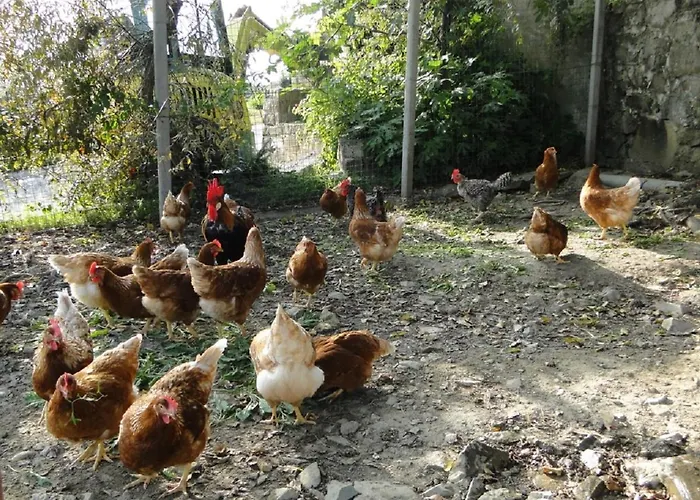 شقة Tourist Farm Tonin