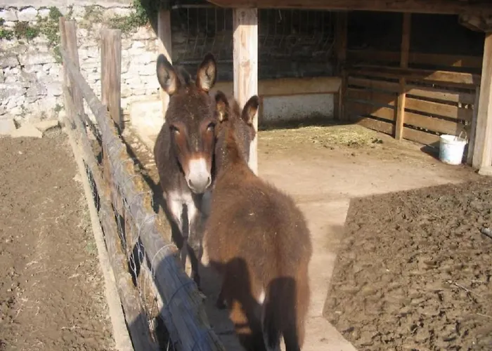 Tourist Farm Tonin Appartement